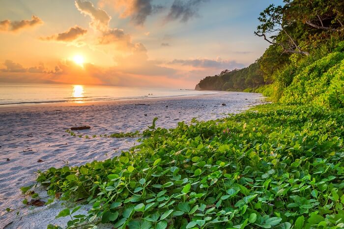 Havelock Island